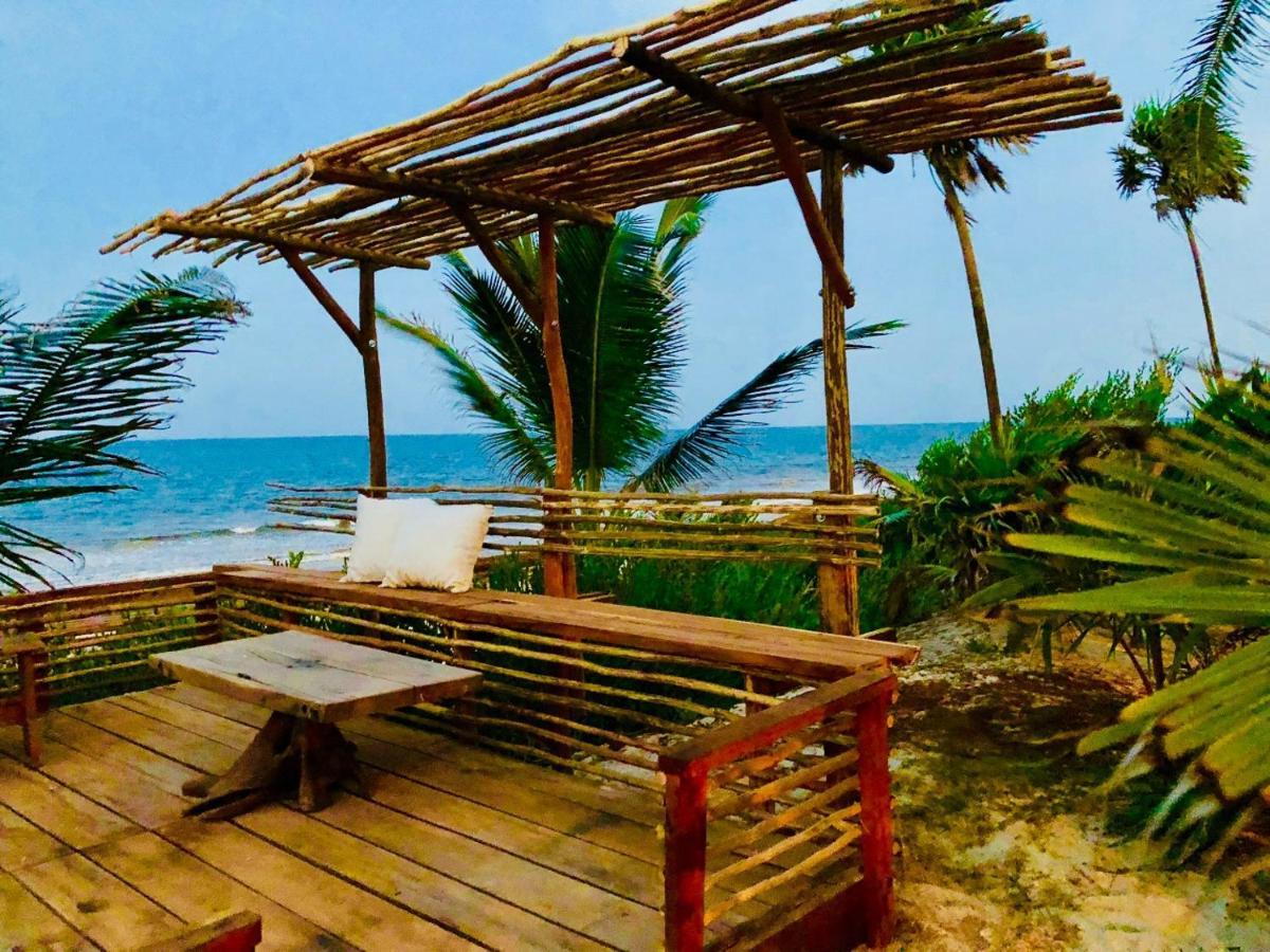 Casa Pelicanos Mx - Next To Zone Pousada *